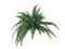 2-Pack: Boston Fern Plant with 48 Silk Fronds, 48" Wide, Faux Greenery, Floral Home by Artificial Flowers